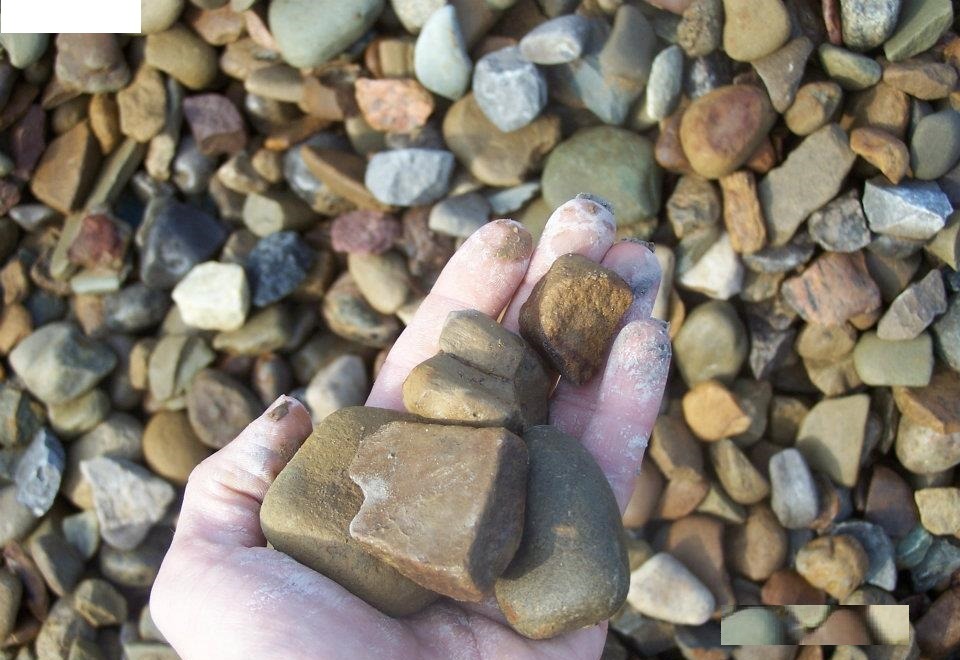 Bullnuts gravel